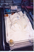 shail-1994-D-03