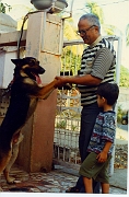 shail-3yrs-ind-15
