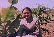 sonwada-1984-02