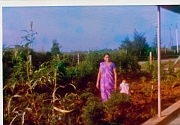Surat-A-30
